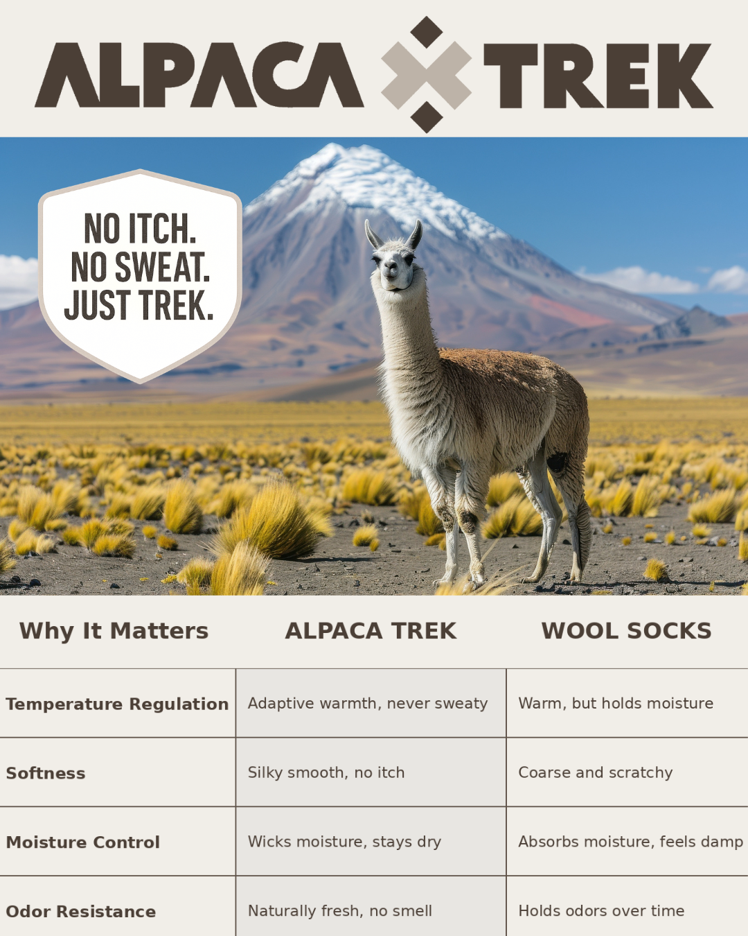 4-Pack Combo – Baby Alpaca Hiking Socks (2 Light Grey, 2 Charcoal) | Trail-Ready Comfort in Both Colors