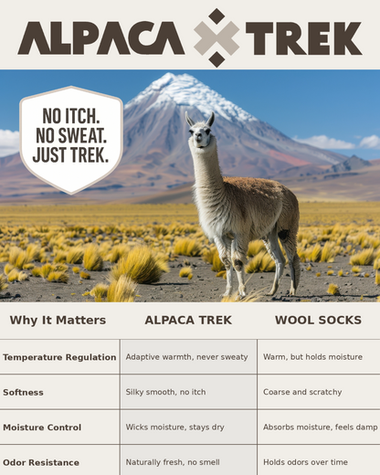 4-Pack Combo – Baby Alpaca Hiking Socks (2 Light Grey, 2 Charcoal) | Trail-Ready Comfort in Both Colors