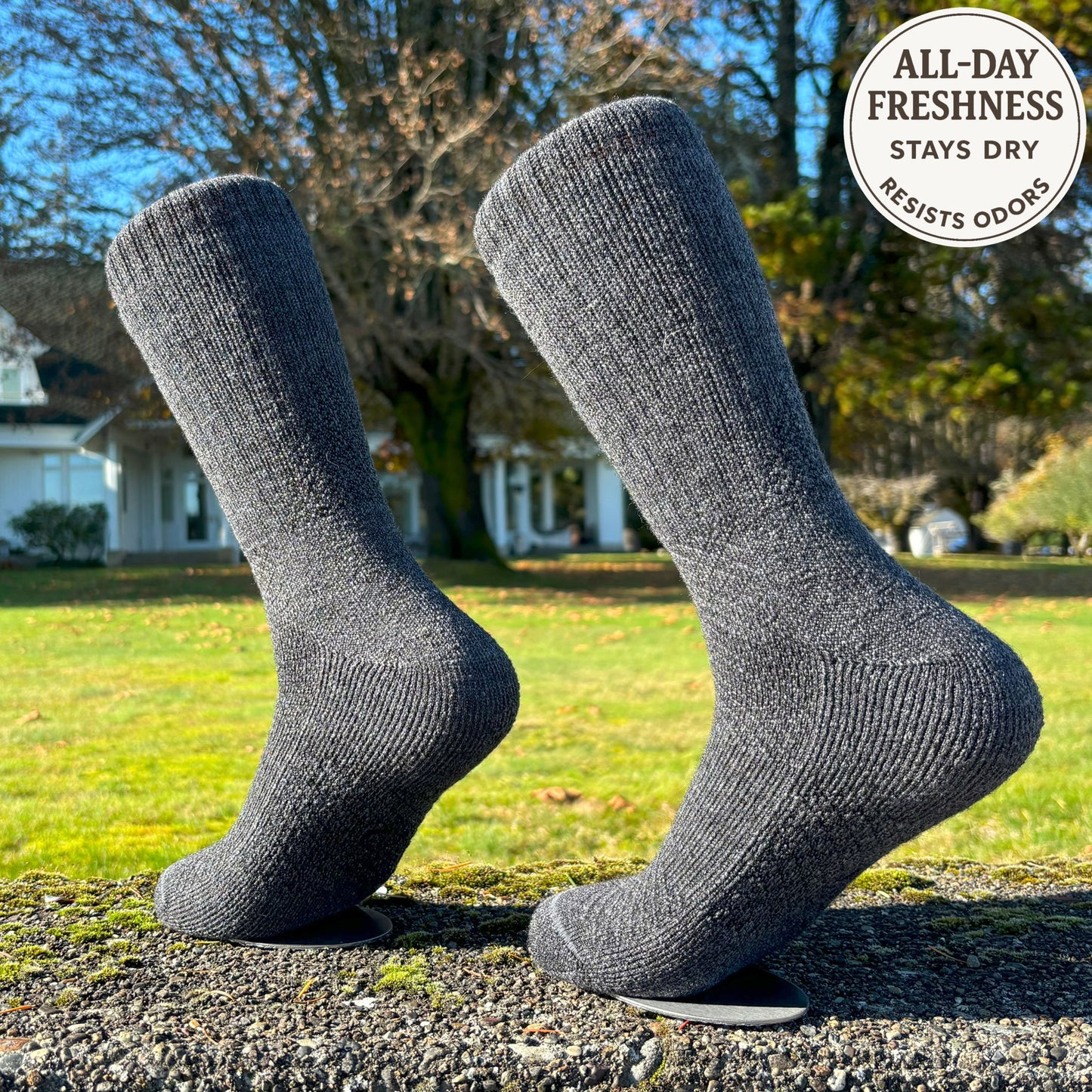 4-Pack Combo – Baby Alpaca Hiking Socks (2 Light Grey, 2 Charcoal) | Trail-Ready Comfort in Both Colors
