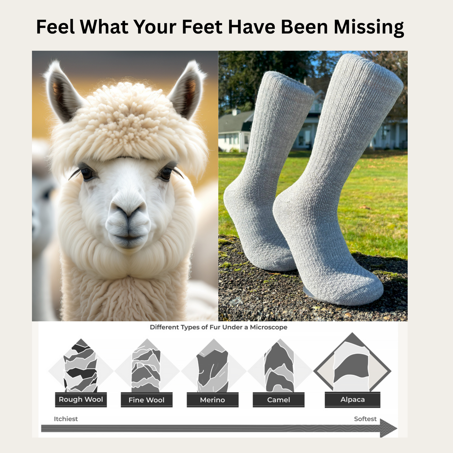 4-Pack Baby Alpaca Hiking Socks – Light Grey | Premium Comfort for Serious Hikers